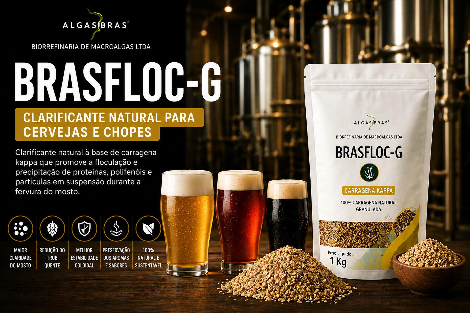 Ficha técnica e de aplicação do Brasfloc-G